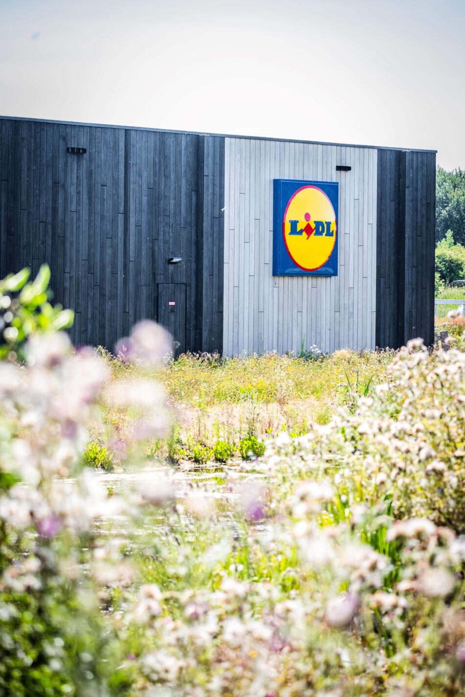 Lidl Zéro : un magasin neutre en CO2
