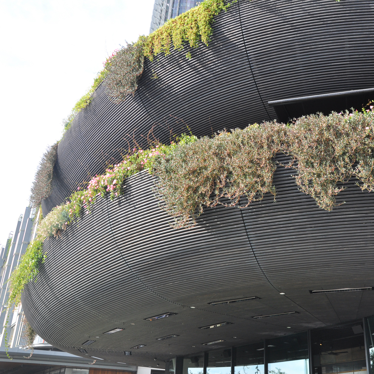Barangaroo House, restaurant en bois brûlé à Sydney