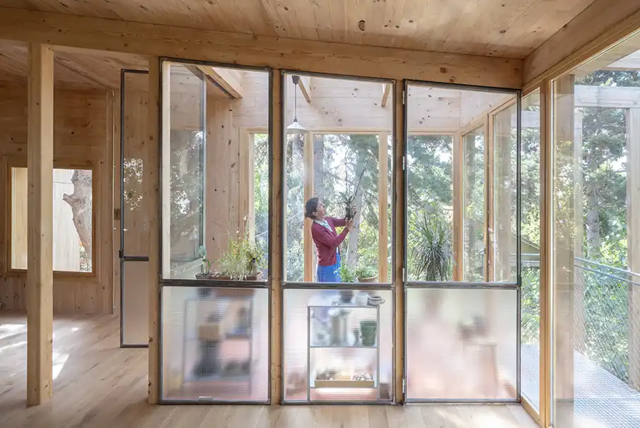 Maison Simbionte : architecture en bois de proximité