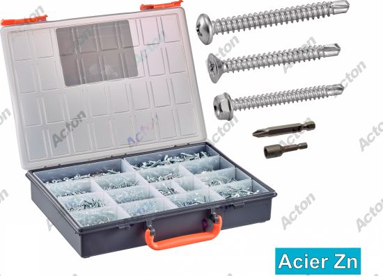 Coffret Vis autoperçantes TC + TF + TH + + embouts acier zingué blanc