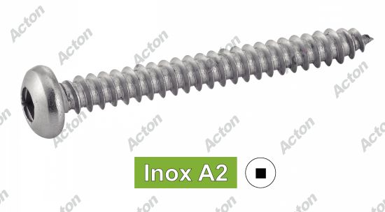 Vis à tôle tête cylindrique empreinte carrée inox A2 - DIN 7981 Acton