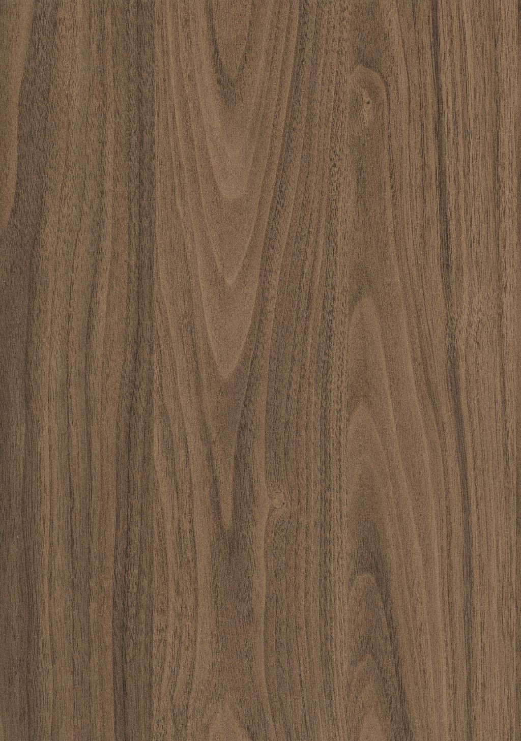 Panneau décoratif Egger Noyer Carini naturel Omnipore Matt 2