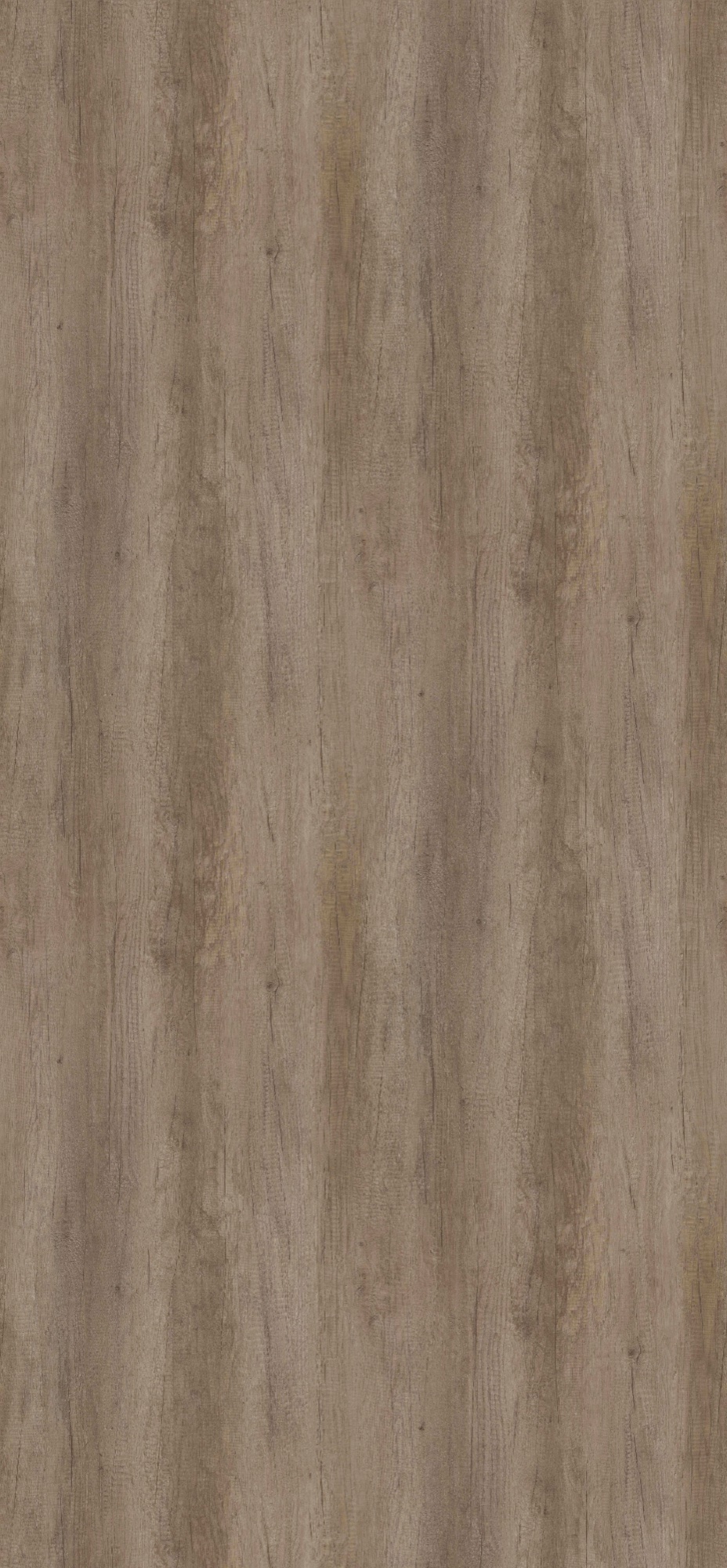 Panneau décoratif Egger Chêne Nebraska gris