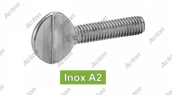 Vis violon inox A2 Acton