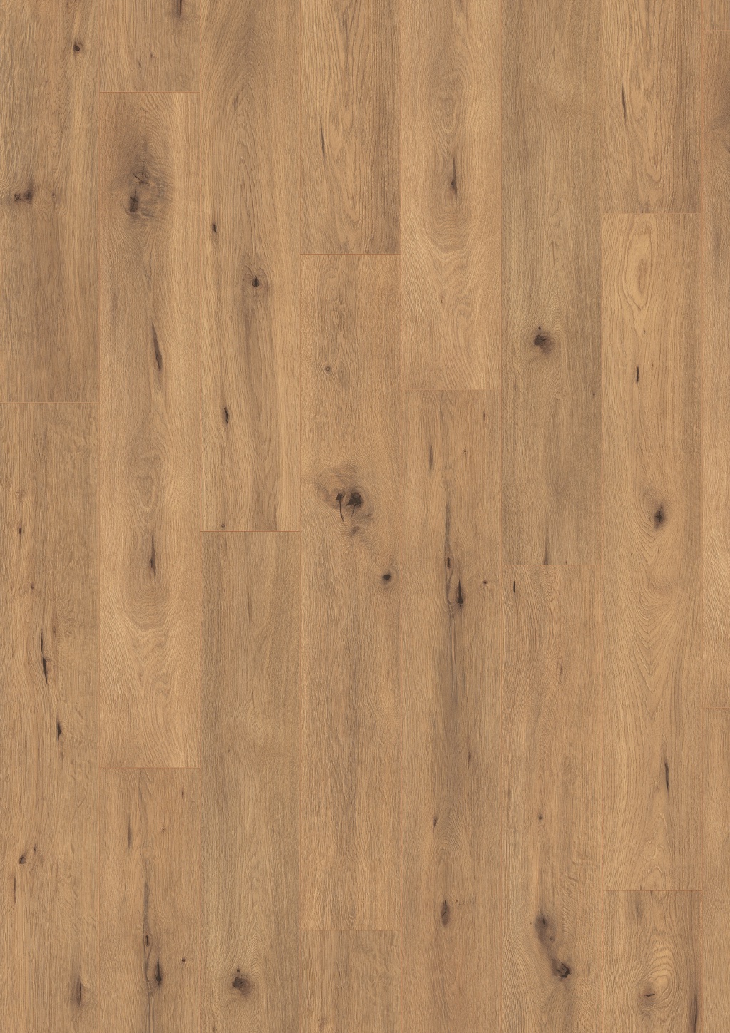 Lame de sol stratifié EGGER Natural Wild Oak