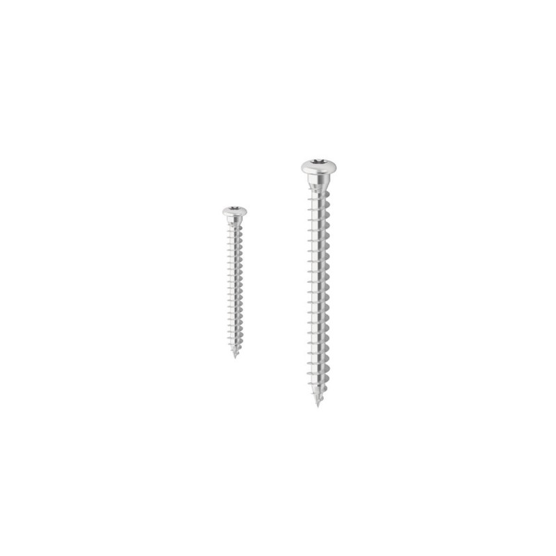 Vis à tête ronde et base plate LBS pour menuiserie