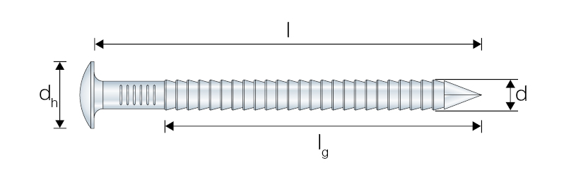 ARA4 Pointe annelée tête bombée - Inox A4 3