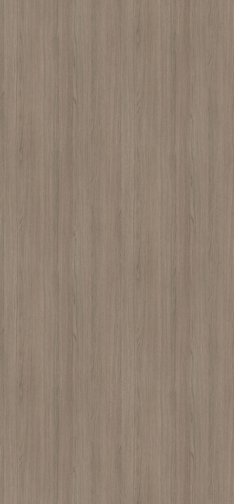 Panneau décoratif Egger Chêne Vicenza gris Deepskin Linear