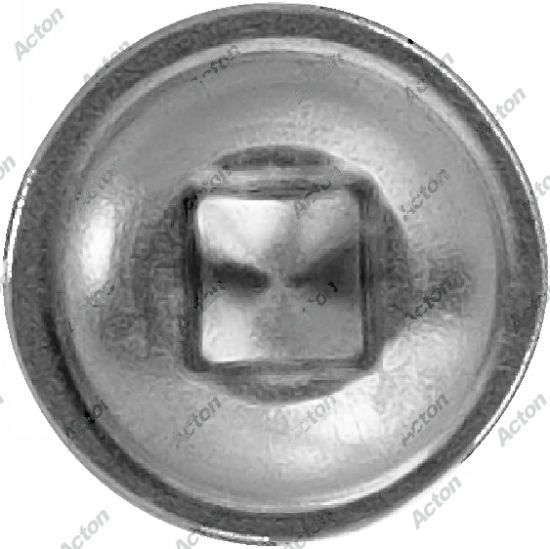 Vis autoperçantes tête cylindrique carrée large inox 550 Acton 3