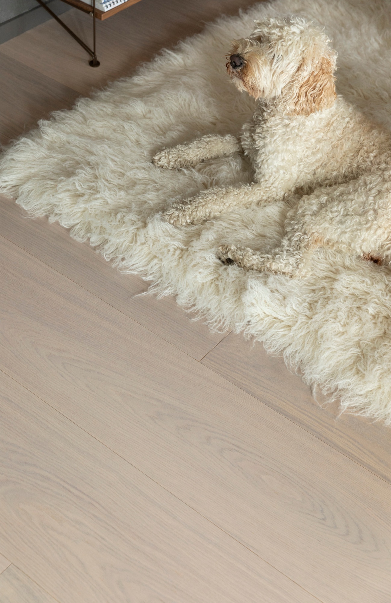 Lame de parquet hybride Bjelin Woodura Vistorp chêne Powder White 3