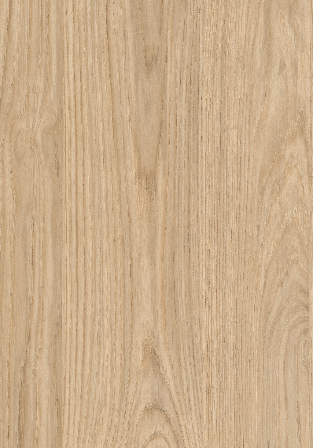 Panneau décoratif Egger Chêne Casella naturel clair Omnipore Oiled 2