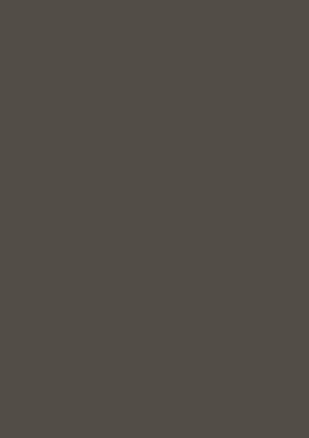 Panneau décoratif Egger Chêne Vicenza gris Deepskin Linear 4