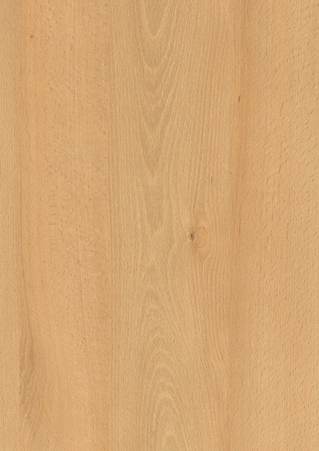 Panneau décoratif Egger Hêtre Willow 2