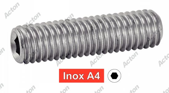 Vis sans tête ISO 4026 six pans creux bout plat inox A4 Acton