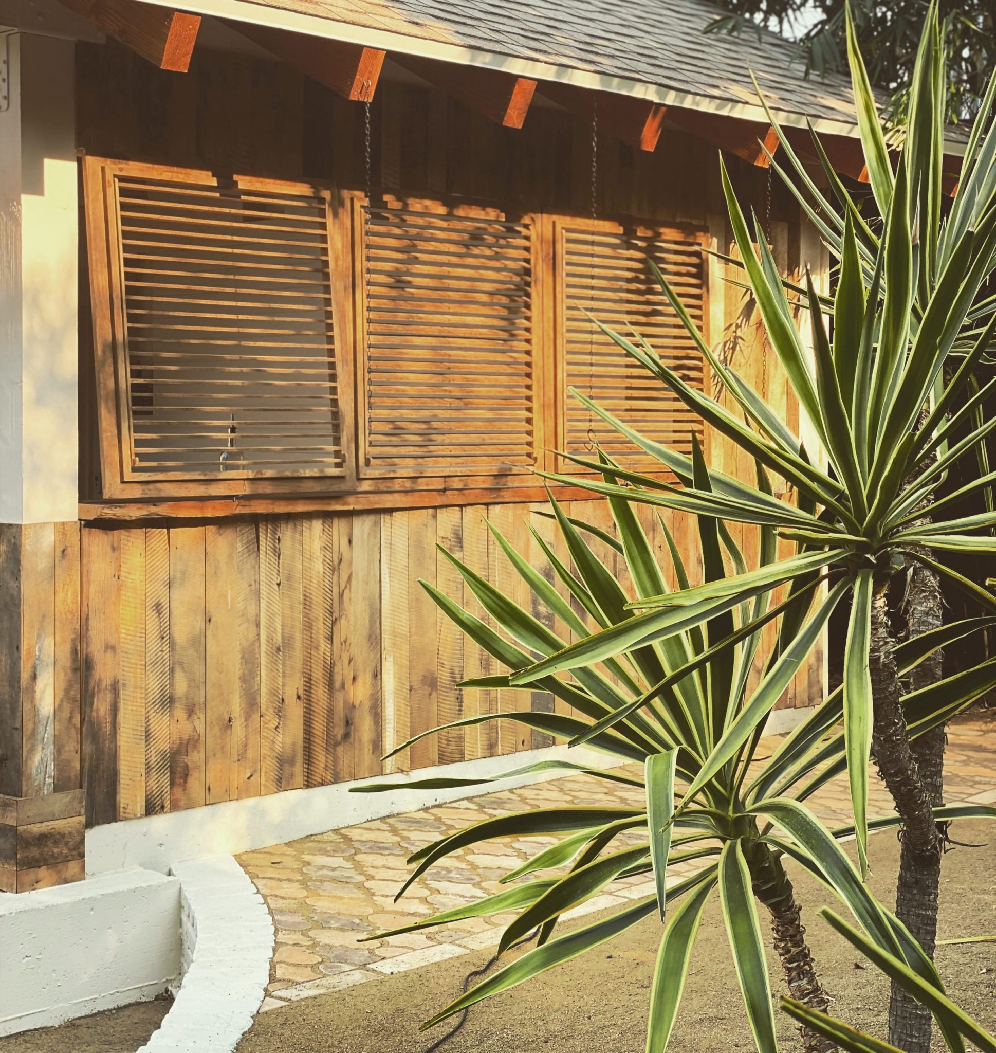 Rum Punch House, Los Angeles