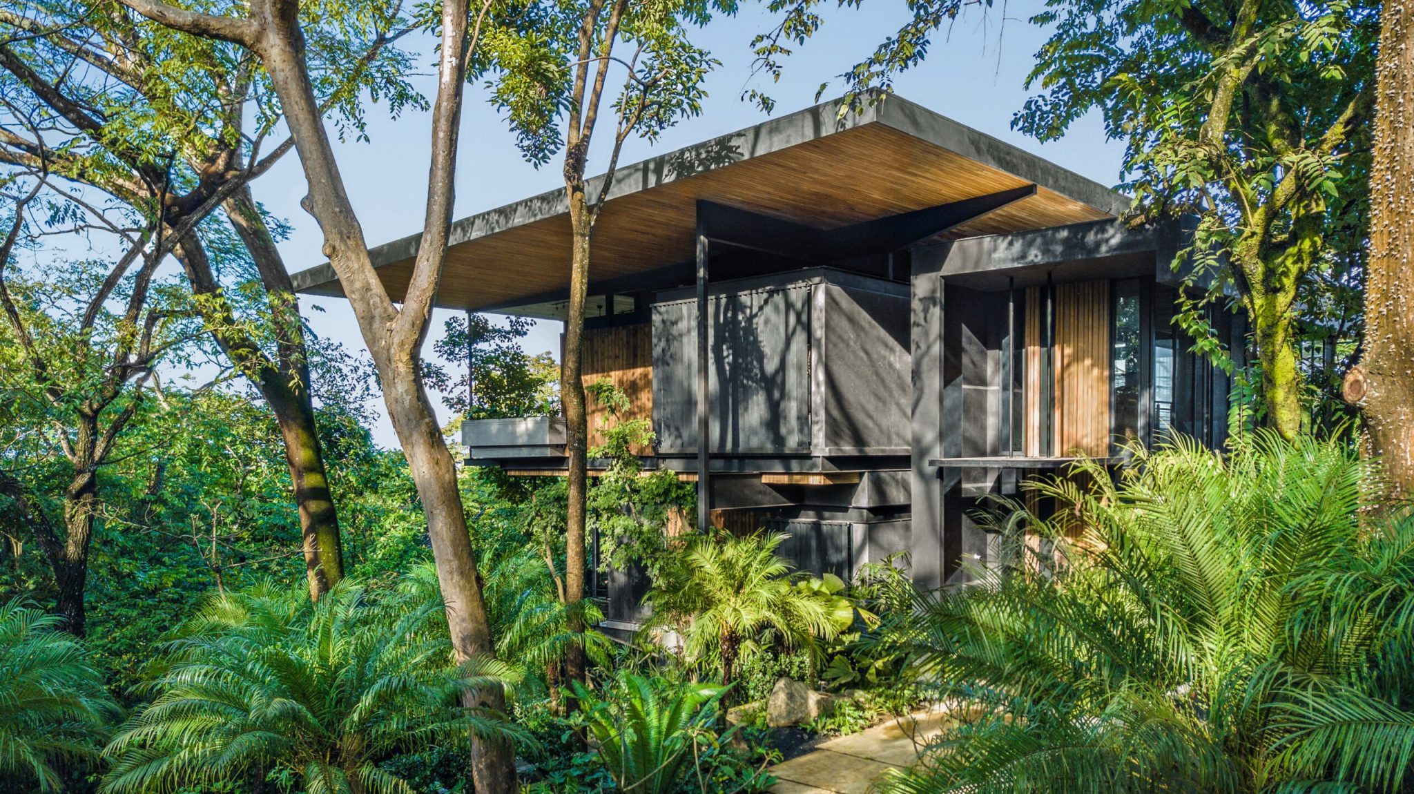 Raintree House, Nosara