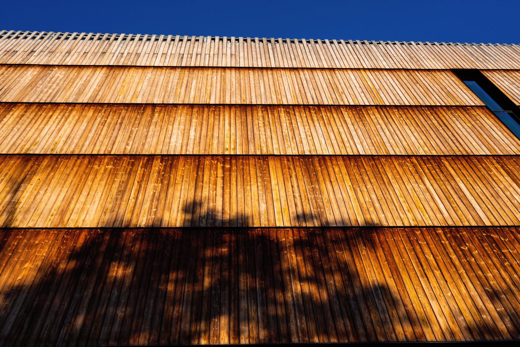 Burke Museum of Natural History and Culture, Seattle