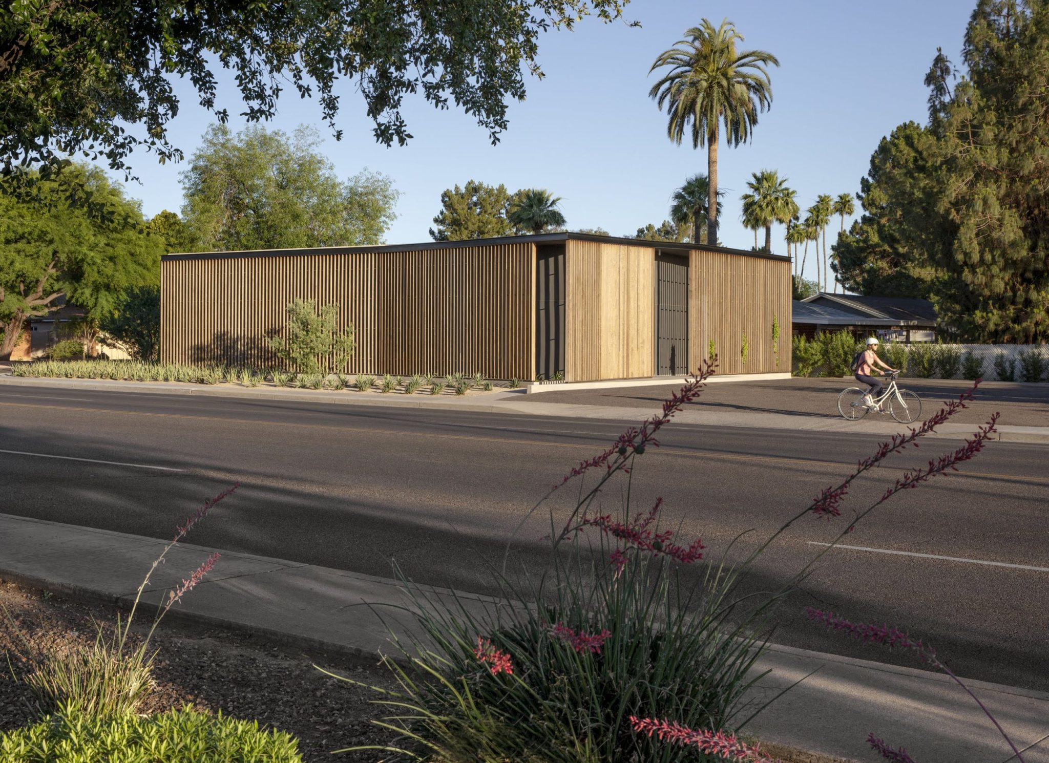 Agence Studio Ma, Phoenix